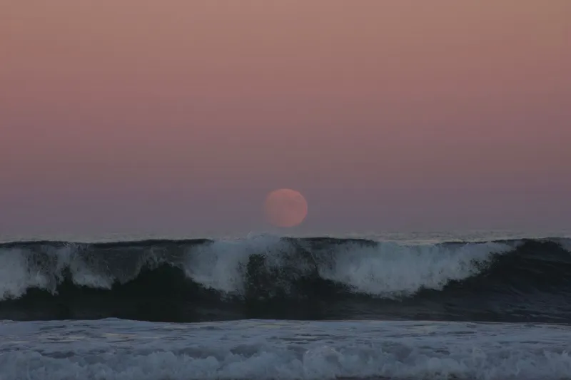 Mareas en el Bolsillo: Cómo los Ritmos Lunares y Oceánicos Moldean tu Psicología del Dinero